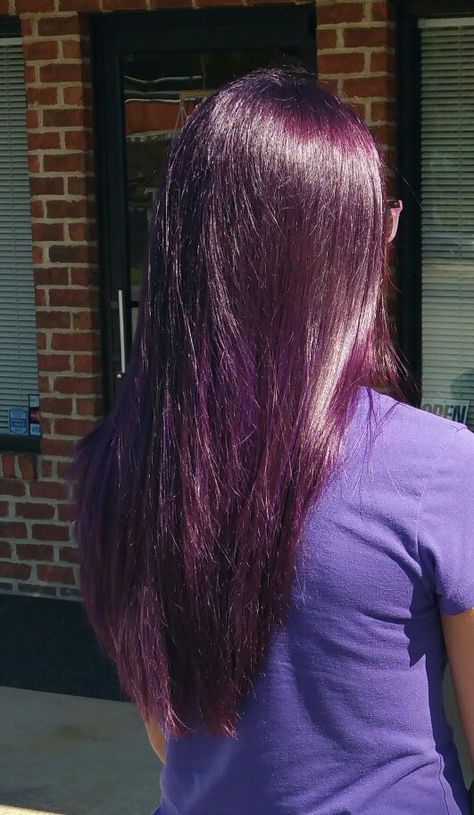 Purplish Hair Color, Plum Hair With Black Highlights, Purple Hair Care Products, Purple Hue Hair, Purple Hair Gloss, Dark Reddish Purple Hair, Purple Hair Tint, Purple Shades Hair, Purple Hair No Bleach