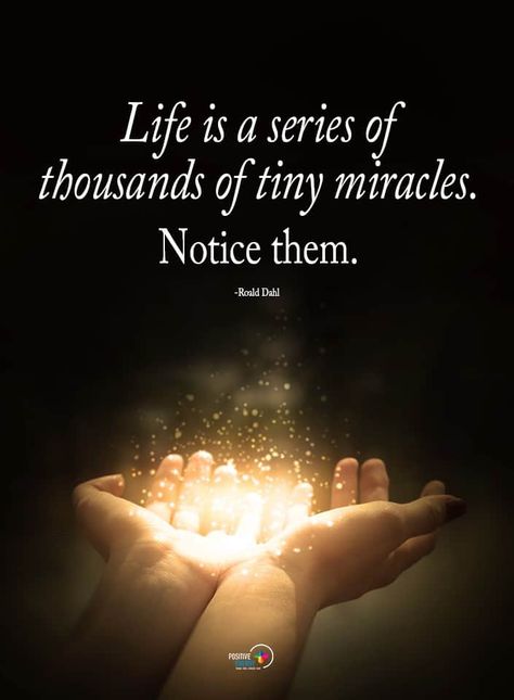 Tiny Miracles, Releasing Negative Energy, Positive Attitude Quotes, Everything Is Energy, Energy Quotes, Boxing Quotes, Power Of Positivity, Negative Thoughts, Negative Energy