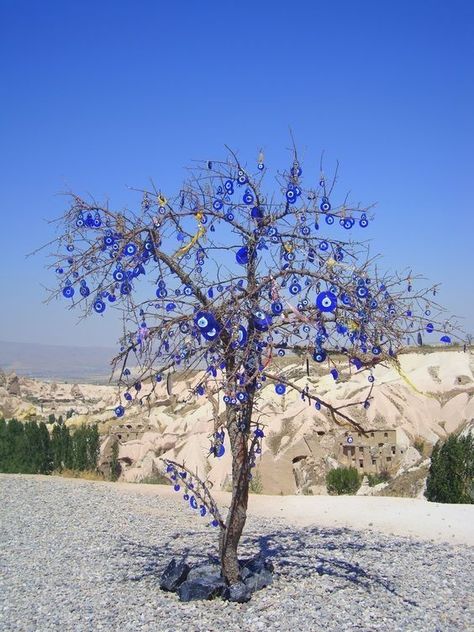 Evil Eye Tree, Evil Eye Art, Greek Blue, Cappadocia Turkey, Greek Evil Eye, Eye Pictures, The Spell, Evil Eye Charm, Eye Art