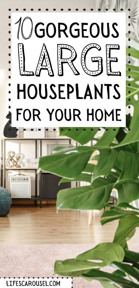 Cool House Plants Living Room, House Plants For Living Room, Dining Room Plants Decor Modern, Tall Indoor Plants Bedroom, Plants For Interior Design, Big Potted Plants Indoor, Floor House Plants, Home Plants Indoor Decor Living Rooms, Plants In Family Room