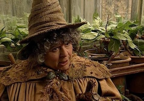 Professor Pomona Sprout Professor Sprout, Miriam Margolyes, Hogwarts Quiz, Harry Potter Professors, Hogwarts Professors, Harry Potter Humor, Shifting To Hogwarts, Film Harry Potter, Hufflepuff Pride