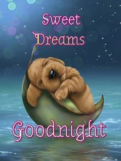 🥱 😴 🤤 😪 Goodnight Cute Images, Verknipte Humor, Goodnight Sweet Dreams, Sweet Good Night, Cute Good Night Quotes, Sweet Good Night Messages, Good Night Hug, Goodnight Wishes, Good Night Prayer Quotes