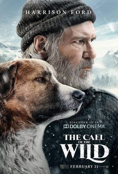 The Wild Movie, Green Lantern 2011, Scotch Collie, Wild Movie, Dog Sled, The Call Of The Wild, Dog Movies, Travel Movies, Dan Stevens