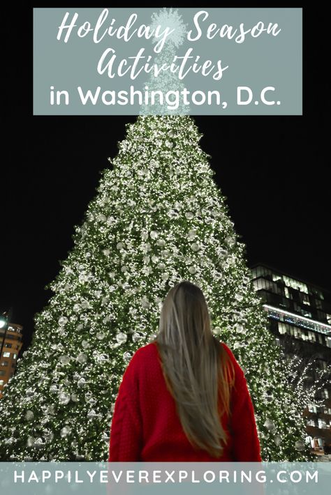 Things To Do Alone On New Years Eve, Christmas In Washington Dc, Washington Dc New Years Eve, Washington Dc During Christmas, Seattle New Years Eve, Washington Christmas, Washington Dc Christmas, Things To Do In Dc, Dc Christmas