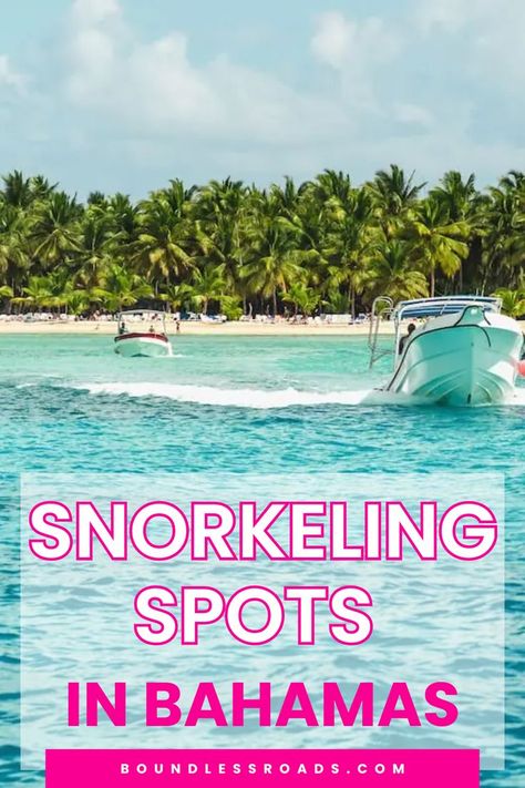 Planning to snorkel in the Bahamas? Discover the best spots for snorkeling and practical tips to make the most of your underwater adventure. Read the full blog for all the details! Best Snorkeling, The Bahamas, Bahamas, Snorkeling, The Details, Travel Destinations, Wonder, Good Things, How To Plan