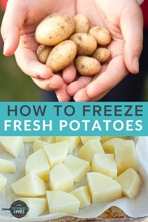 How To Preserve Potatoes In Freezer, Freezing Fresh Potatoes, How To Save Potatoes, Freezing Potato Soup, Can You Freeze Raw Potatoes, Freeze Potatoes Raw, How To Freeze Fresh Potatoes, Can I Freeze Potatoes, Freeze Potatoes How To