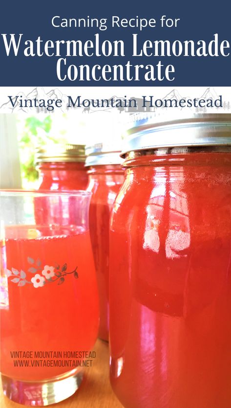 Watermelon Lemonade Concentrate For Canning, Canned Watermelon Juice, Watermelon Lemonade Concentrate, Watermelon Preservation, How To Preserve Watermelon, Canning Watermelon Juice, Canning Fruit Juice, Canning Juice Concentrate, Canning Juice Recipes