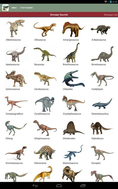 Different Kinds Of Dinosaurs, Types Of Dinasours, Dinosaurs Names And Pictures, Types Of Dinosaurs Chart, Dinosaur Names, Types Of Dinosaurs, Prehistoric Planet Dinosaurs, Dinosaur Name, Dinosaur Alphabet