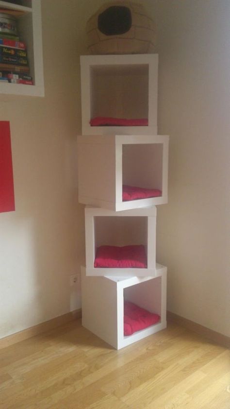 20 Cube Organizer DIY Ideas To De-clutter Your Whole House-Cat House Cat Room Diy, Ikea Cubes, Kat Diy, Chat Diy, Cube Chair, Diy Cat Tree, Cat Towers, Ideal Toys, Cat Shelves