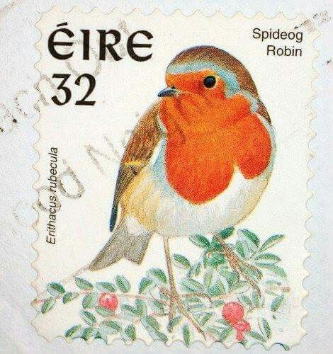 Robin Redbreast - brown, red, orange, green Pretty Duvet Covers, European Robin, Irish Christmas, Irish Tattoos, Postage Stamp Art, Stamp Printing, Post Stamp, Christmas Stamps, Postal Stamps