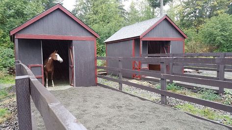 Farm Tour: A Financially Feasible Horse Facility – The Horse Pony Stable Ideas, Horse Shade Structure, Horse Rescue Facility, Small Horse Property Layout, Loafing Sheds For Horses, Small Horse Farm Ideas, Small Acreage Horse Farm, Horse Boarding Facility Ideas, Horse Stocks