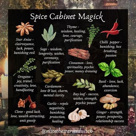 A L I C E ✨🌿 on Instagram: "SPICE CABINET MAGICK Did you know that you could have some magical herbs readily available in your kitchen cabinet? Here are some herbs that you can commonly find in your spice cabinet, which are full of magical properties and can be used in many ways… When spellwork calls for herbs there are endless ways to use them. Here are some ideas: - Have them on your altar during spell work - Dress a candle with them - Put them in a drawstring ‘mojo’ bag (which can be ca All Spice Witchcraft, Spices In Witchcraft, Witchy Cafe, Witch Plants, Empress Energy, Spell Ideas, Mystic Mama, Simmer Pots, Medicine Garden