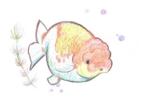 Fish Drawings, Sketchbook Art Journal, Art Prompts, Fish Art, Sketchbook Art Inspiration, Cool Art Drawings, Art Inspiration Drawing, Funky Art, Art Drawings Sketches