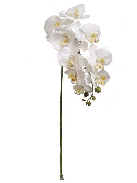 12 Artifical Silk 34' White Phalaenopsis Orchid Stem - Multiple Colors Available *** Check out this great product. White Phalaenopsis Orchid, Artificial Flowers Decor, Silk Orchids, Wooden Roses, Phalaenopsis Orchid, Floral Display, Artificial Plants, Amazon Affiliate, Artificial Flowers