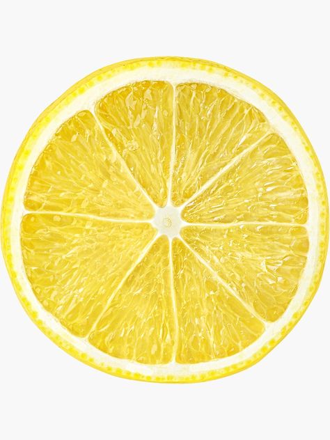 Sliced Lemon, Lemon Slices, Lemon Image, Lemon Slice Drawing, Lemon Slice Photography, Lemon Graphic, Lemon Slice Painting, Lemon Graphic Design, Sliced Lemon Drawing