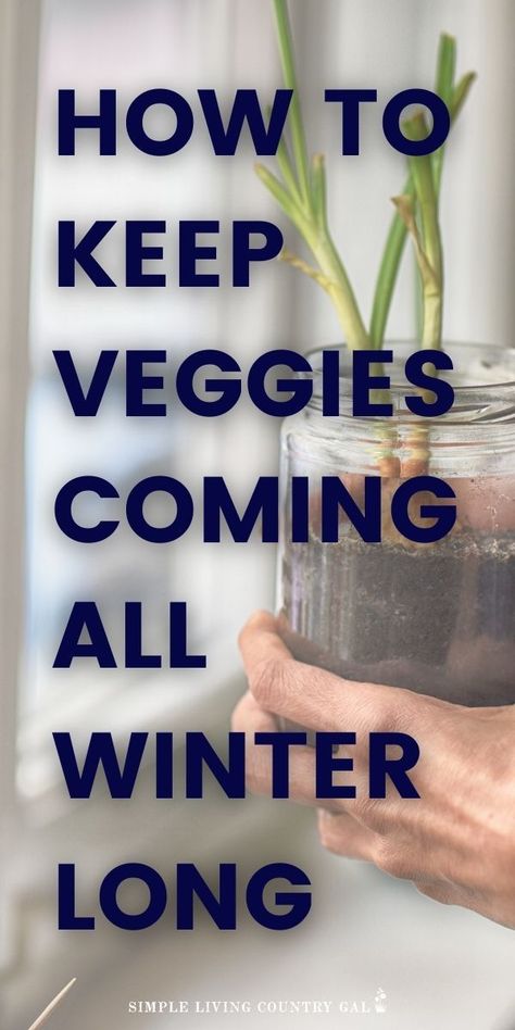 Indoor Veggie Garden, Winter Planting, Growing Vegetables At Home, Growing Vegetables Indoors, Growing Food Indoors, Growing Vegetables In Pots, Indoor Vegetables, Vegetables To Grow, Winter Vegetables Gardening