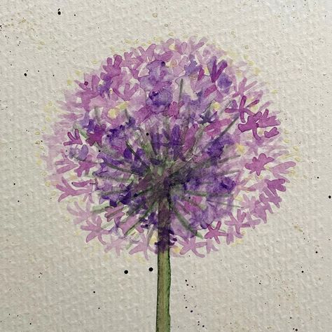 Carol Fetherston on Instagram: “Alliums are one of my favourite flowers and now I think I’ve found my favourite flower to draw/paint 💜 Need a bit of practice still, but…” Alium Flower Drawing, Alium Flower Painting, How To Draw Allium Flowers, Allium Flowers Painting, Allium Flowers Drawing, Allium Drawing, Allium Watercolor, Alium Flower, Flower To Draw