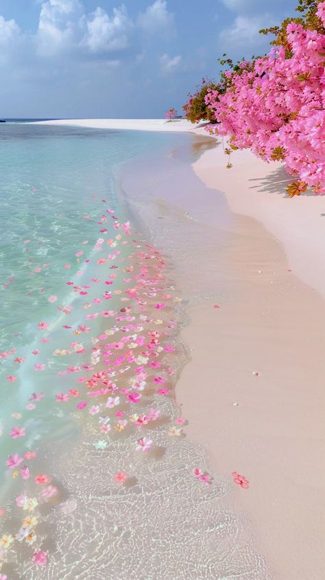 Pink Sand Wallpaper Iphone, Beach Ipad Wallpaper Aesthetic, Pretty Wallpapers Backgrounds Ipad, Cute Pink Summer Wallpaper, Hawaii Pics Aesthetic, Clear Aesthetic Wallpaper, Happy Aesthetic Pictures, Lockscreen Wallpaper Iphone Cute, Preppy Beachy Wallpaper