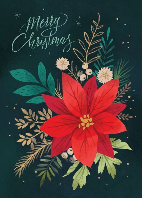 Christmas Flower Illustration, Mexican Christmas Illustration, Poinsettia Illustration, Kathryn Selbert, Red Christmas Flower, Christmas Card Art, Advocate Art, Poinsettia Flower, Animated Christmas