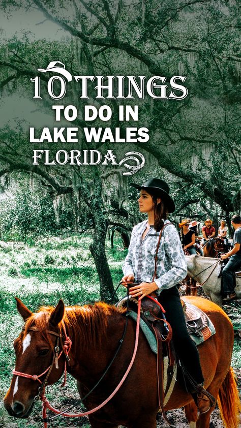 Lake Wales Florida, Travel Florida, Orlando Travel, Handy Dandy, Free Things To Do, Florida Travel, Good Time, Dandy, Orlando