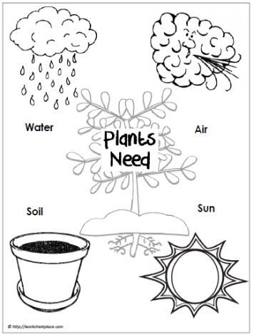 Use a graphic like this to guide a scientific inquiry: do plants really need all of these things? Have a control plant and then deprive plants of each of these to see whether these are needs and discuss why. CJ Plants Kindergarten, Plant Lessons, Plants Worksheets, Preschool Garden, Plant Activities, 1st Grade Science, Worksheet For Kids, Plant Life Cycle, Spring Preschool