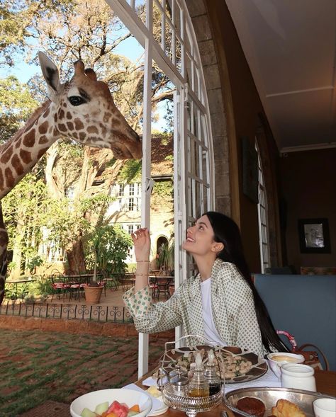 breakfast eating with giraffes, dream vacation, bucket list, unique hotel experience, animal interaction Giraffe Manor, Vacation Bucket List, Unique Hotels, Happy Girl, Dream Vacation, Giraffes, Dream Vacations, Kenya, Life Is Good