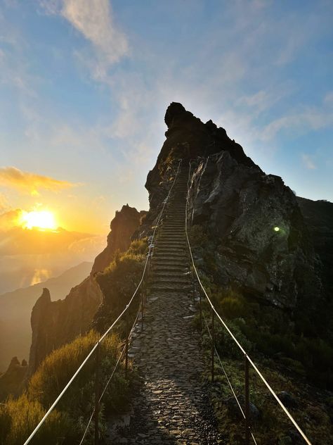 Madeira Travel Guide: The Best Hikes & Things To Do In Madeira Madeira Travel Guide, Maderia Portugal Itinerary, Madeira Portugal Aesthetic, Madeira Hike, Hiking Madeira, Madeira Hiking, Madeira Aesthetic, Zanna Van Dijk, Travelling Spain