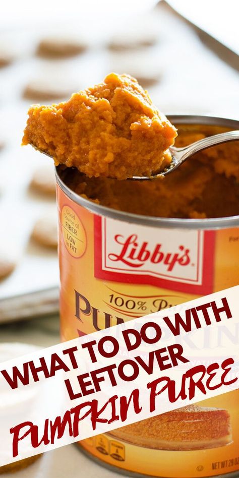 Recipes For Leftover Pumpkin Puree, Can You Freeze Pumpkin Puree, Pumpkin Purée Uses, Half Can Of Pumpkin Recipes, Recipes Using Pure Pumpkin, 1 Cup Of Pumpkin Recipes, What To Make With Leftover Pumpkin Puree, Pumpkin Can Recipes Easy, Extra Pumpkin Puree