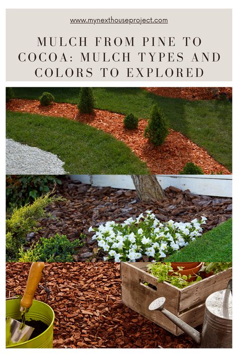 Mulch Types and Colors to Explored Mulch Colors, Garden Mulch, Boost Curb Appeal, Outdoor Ideas, Mulch, Curb Appeal, Soil, Cocoa, Color