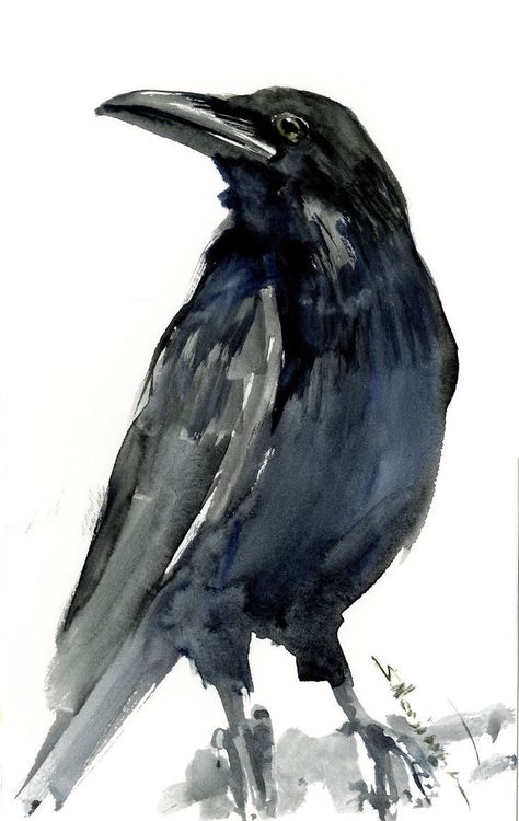 Crows Artwork, Raven Artwork, Crow Painting, Bird Watercolor, Crow Art, Watercolor Water, Raven Art, Art Premier, Original Watercolor Art