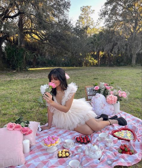 Whimsical Birthday Photoshoot, Fancy Picnic Photoshoot, Valentine’s Day Picnic Photoshoot, Indoor Picnic Photoshoot, Cake Picnic Photoshoot, Valentines Photoshoot Outdoor, Birthday Picnic Outfit, Outdoor Birthday Photoshoot Ideas, Picnic Birthday Photoshoot