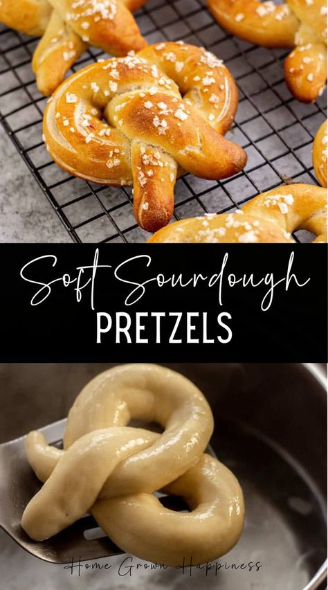 These soft and chewy sourdough pretzels, with their shiny golden surface and coarse salt, are fun to make and delicious to eat! This sourdough soft pretzel recipe with a sourdough starter is very similar to my sourdough bagels recipe and is easy to make at home without a mixer. It uses sourdough starter as the yeast component in the dough and no commercial yeast. The dough undergoes a long cold proof in the refrigerator which adds great flavour as well as texture. Sourdough Soft Pretzel Recipe, Sourdough Bagels Recipe, Sourdough Pretzel Recipe, Sourdough Pretzels, Pretzel Recipe, Soft Pretzel Recipe, Einkorn Flour, Homemade Pretzels, Silicone Baking Sheet