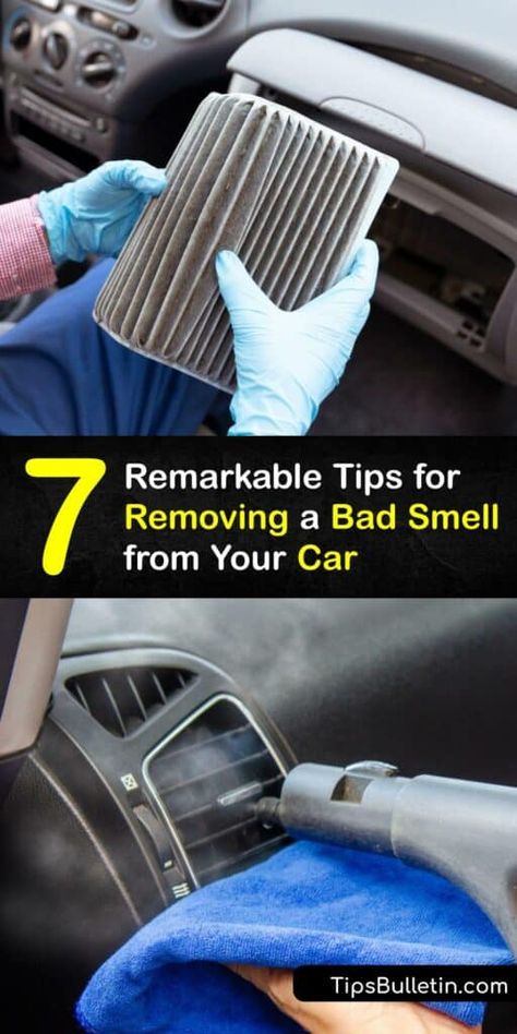 Car Odor Eliminator Diy, Car Smell Hacks, Cleaning Purses, Clean Car Interior, Car Odor Eliminator, Dashboard Cleaner, Cleaning Car Upholstery, Diy Car Cleaning, Funny Notes