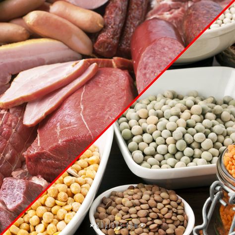 Animal vs Plant Protein: Which is better? Vegetarian Protein, Animal Products, Animal Protein, Different Vegetables, Which Is Better, Plant Protein, Food Facts, Plant Based Diet, Fruits And Veggies