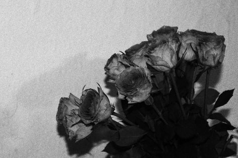 Charcoal Artwork, Roses Aesthetic, Rose Flower Wallpaper, Talk About Love, Dark Love, Nothing But Flowers, Aesthetic Photography Nature, Black N White Images, Aesthetic Themes