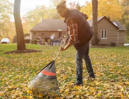 Overseeding Lawn, Fall Lawn Care, Fall Maintenance, Fall Lawn, Lawn Care Schedule, Raking Leaves, Yard Maintenance, Garden Rake, Aerate Lawn