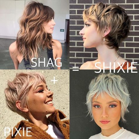 HAIR on Instagram: "SHAG + PIXIE = SHIXIE Nothing like a good visual to show the difference! Let’s break it down 💪 THE SHAG It’s stood the test of time and is a great option for giving you lots of play around your face while still maintaining the length. There are so many variations of this cut. Some that keep the fullness and some that carve it away. Depending on your hair texture it typically styles itself with a little help from you pushing the style towards your face where it needs to be Haircuts That Keep Hair Out Of Face, Texture Short Haircut, Boho Pixie Haircut, "shixie" Haircut, Growing Out Hair Styles, Shixie Hair, Full Face Pixie Haircut, Shag Pixie Cut Fine Hair, Short Hair Full Face