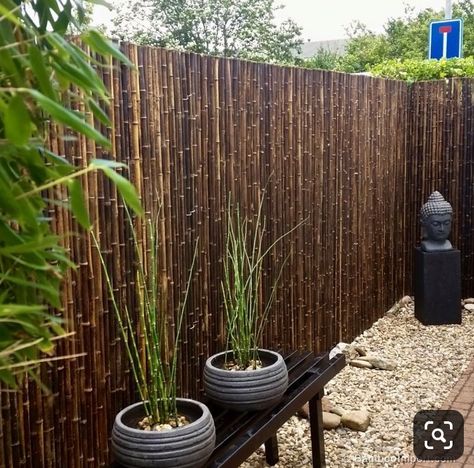 Bamboo Garden Fences, Fence Garden, Bamboo Garden, Bamboo Fence, Patio Garden Design, Black Bamboo, Fence Decor, Backyard Fences, Garden Designs