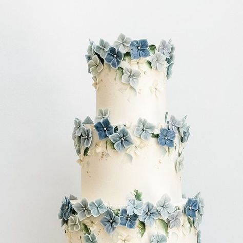 LILA Cake Shop on Instagram: "Hydrangea blossoms in shades of blue for Neesha + Brant 💙✨" Hydrangea Wedding Cake, Hydrangea Cake, Two Tier Cake, Wedding Cakes Blue, Blue Hydrangea, Cake Shop, May 27, Tiered Cakes, Hydrangea