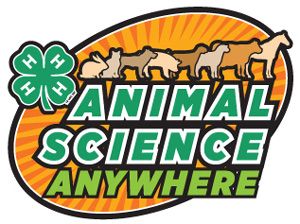 4-H Animal Science Anywhere - 4-H Animal Science Vet Science 4h Project, Livestock Skillathon, 4 H Projects, Agriculture Science, Vet Science, Ag Science, Ag Education, 4 H Club, Ag Teacher