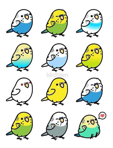 "Chubby Budgies" by birdhism | Redbubble Cute Parakeet Drawing, Budgie Drawing Cute, Parakeet Doodle, Small Budgie Tattoo, How To Draw A Budgie, Budgies Drawing, Parakeet Drawing, Budgie Drawing, Cute Bird Drawing