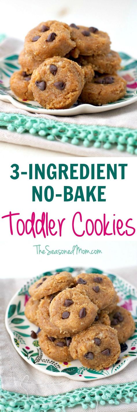 With just graham crackers, banana, and peanut butter, these 3-Ingredient No Bake Toddler Cookies are a perfect make-ahead option for lunch boxes, picnics, and summer travel. #horizonorganic @Horizon Organic #ad Paint Embroidery, Toddler Cookies, Banana And Peanut Butter, Easy Cookie Recipe, Picky Toddler, Furniture Box, Baby Snacks, Bohemian Theme, Animal Cakes