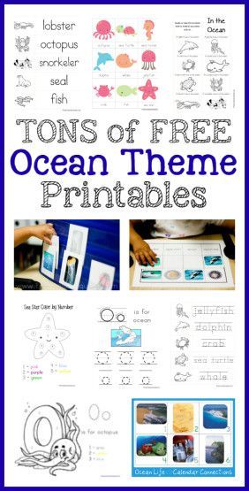 Tons of FREE Ocean Theme Printables! Ocean Theme Preschool, Ocean Classroom, Ocean Theme Classroom, Ocean Unit, Mermaid Crafts, Ocean Activities, Summer Preschool, Printables For Kids, School Craft