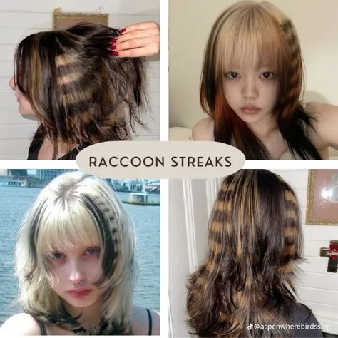 Racoon Tail Hair, Racoon Hair, Calico Hair, Hair Stripes, Funky Hair, Cherry Hair, Dyed Hair Inspiration, Hair Inspiration Short, Unique Hair