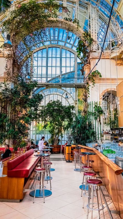 Vienna has many beautiful places to offer. But thanks to its coffee house culture, many of the cafés are truly magical places. It's worth taking a souvenir photo here! When will you discover the city? 💡

1. Café Gerstner
2. Café Hildebrand
3. Calienna
4. Palmenhaus
5. Ponykarussel Aesthetic Things To Buy, Vienna Coffee House, Viennese Coffee, Vienna Cafe, Vienna Austria Travel, Vienna Christmas, Italy 2023, Coffee Shop Ideas, Austria Travel