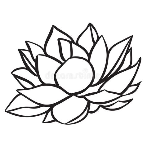 Lotus. Water lily Flower vector simple line drawing illustration isolated on whi , #Aff, #Flower, #vector, #simple, #Lotus, #Water #ad Koi Fish Drawing Tattoo, Water Lily Drawing, Flower Lines, Lotus Flower Drawing, Lotus Drawing, Watercolor Koi Fish, Lilies Drawing, Koi Fish Drawing, Drawing Black And White