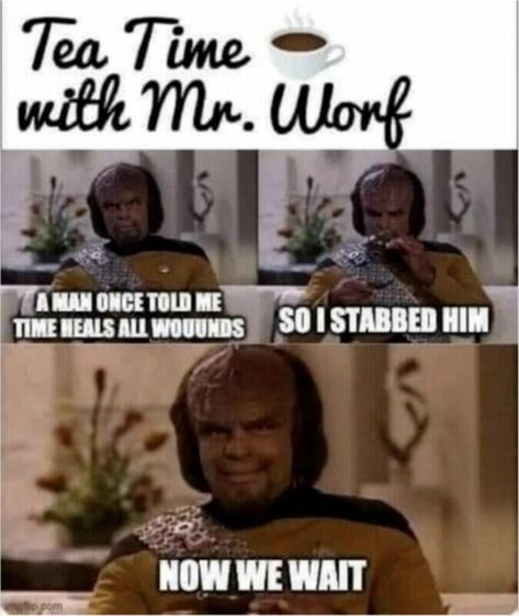 Star Trek Jokes, Funny Star Trek, Fandom Star Trek, Star Trek Uniforms, Star Trek Cast, Star Trek Episodes, Star Trek Funny, Star Trek Series, Nerd Humor