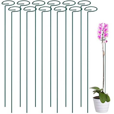 12 Pack 36 inch Plant Support Stakes ,Single Stem Plant Support Stake Single Plant Stem Garden Flower Support Stake S... Plant Support Stakes, Flower Support, Stem Plant, Growing Tomato Plants, Climbing Trellis, Inch Plant, Plant Ties, Support Pictures, Rose Lily