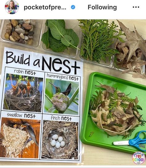 Bird Activities, Habitat Activities, Pocket Of Preschool, Bird Nest Craft, Forest School Activities, Nest Building, What Is A Bird, Nature School, Crafts Preschool