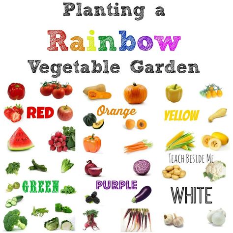 Planting a Rainbow Vegetable Garden Gardening Preschool, School Garden Ideas, Planting A Rainbow, Eat A Rainbow, Gemüseanbau In Kübeln, Vegetable Garden Layout, Gardening Activities, Gardening With Kids, Garden Activities